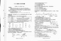 四川省金太阳2025届高三上学期12月联考(25-289C)-化学试卷+答案