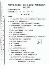 天津市部分区2024-2025学年高三上学期期末练习 化学试卷（图片版，含答案）