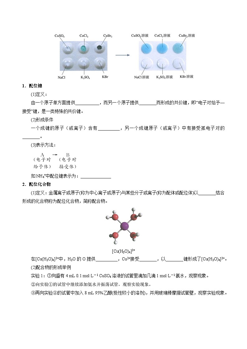 ②寒假预习-第07讲 配合物和超分子(学生版)-2025年高二化学寒假衔接讲练 (人教版)第2页