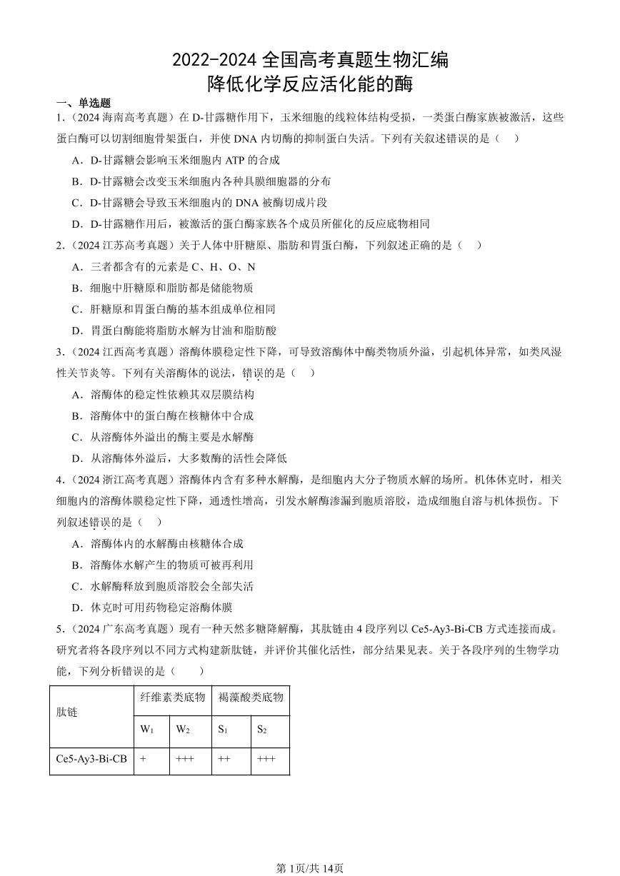 2022-2024全国高考真题生物汇编：降低化学反应活化能的酶