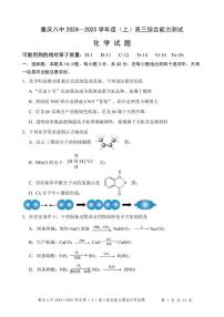重庆八中2025届高三上学期1月期末考试化学试题（含答案）