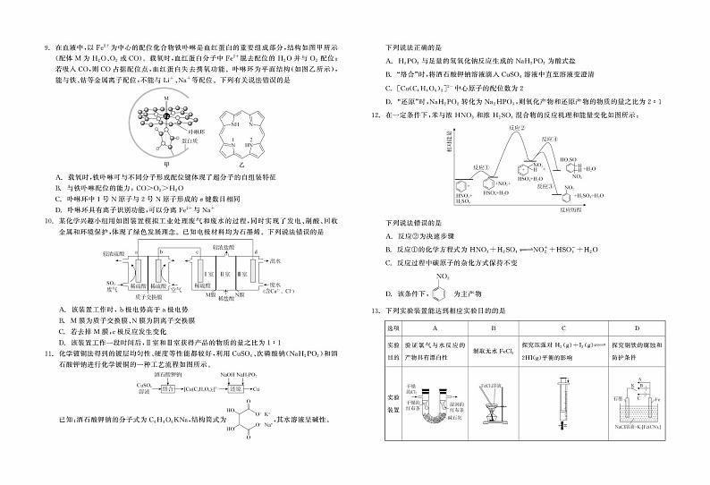 辽宁省点石联考2025届高三上学期期末考试 化学 PDF版第2页