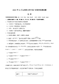 山东师范大学附属中学2024-2025学年高二上学期11月阶段性检测化学试卷（Word版附答案）