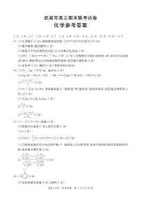 甘肃省武威市2025届高三上学期1月期末联考化学试题答案