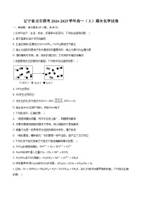 辽宁省点石联考2024-2025学年高一（上）期末化学试卷