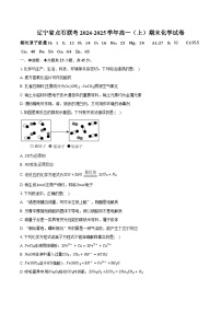 辽宁省点石联考2024-2025学年高一（上）期末化学试卷（含答案）
