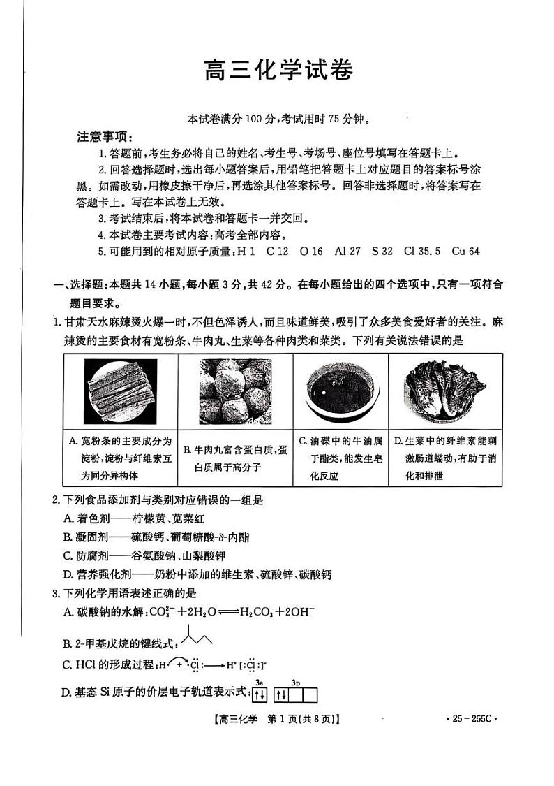 甘肃省白银市2025届高三上学期期末考试化学试题(PDF版附答案)第1页