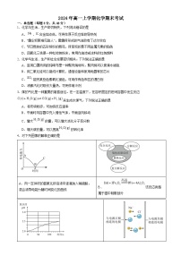 湖南省岳阳市岳阳县第一中学2024-2025学年高一上学期1月期末考试化学试卷（Word版附答案）