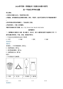 浙江省温州市十校联合体2024-2025学年高一上学期期中考试化学试卷（Word版附解析）