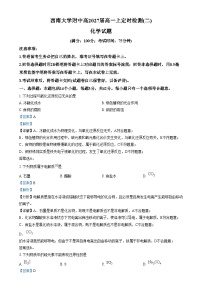 重庆市西南大学附属中学2024-2025学年高一上学期定时检测（二）（11月）化学试卷（Word版附解析）