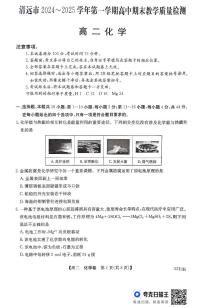 广东省清远市2024-2025学年高二上学期期末教学质量检测 化学试题