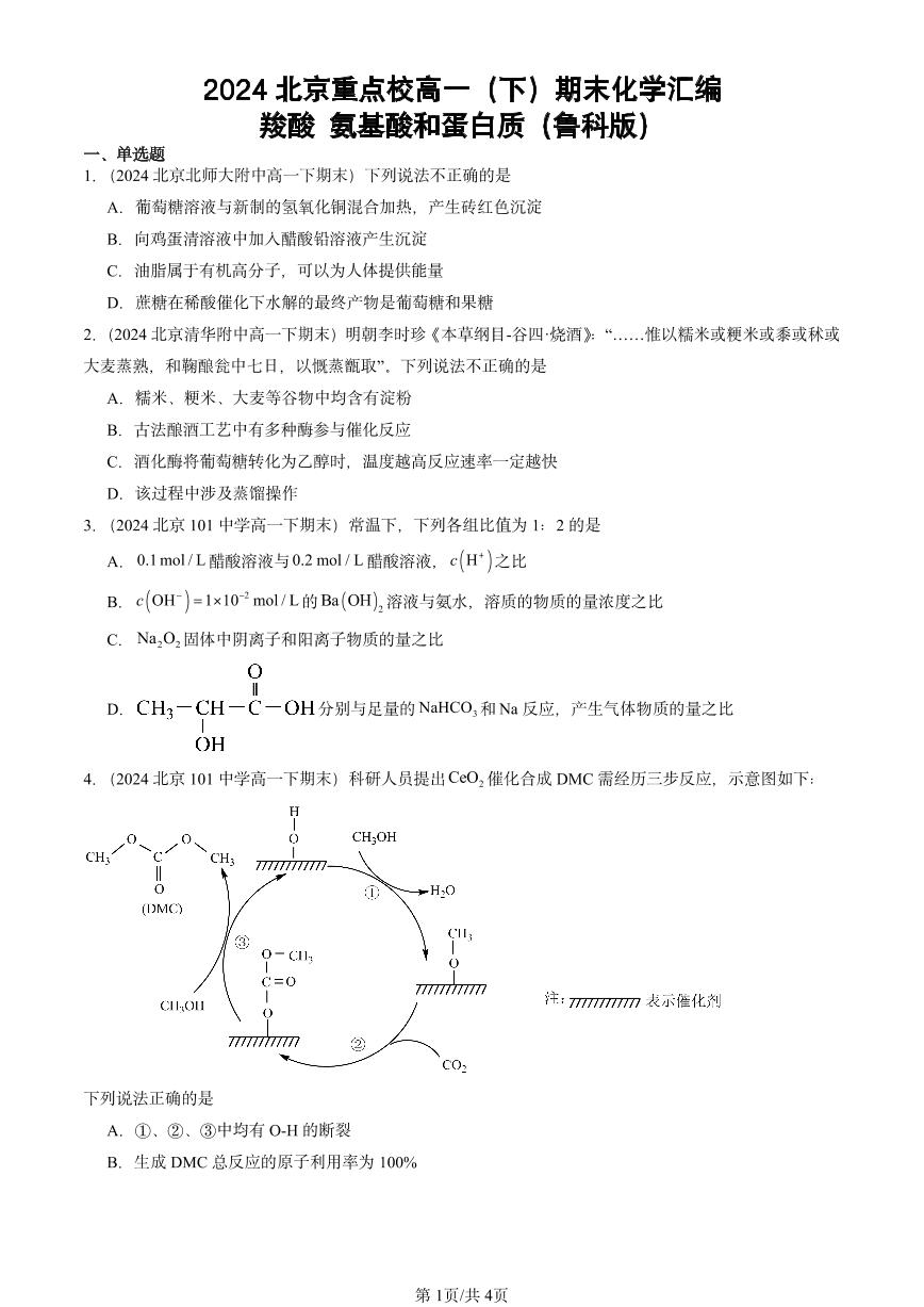 2024北京重点校高一（下）期末真题化学汇编：羧酸 氨基酸和蛋白质（鲁科版）