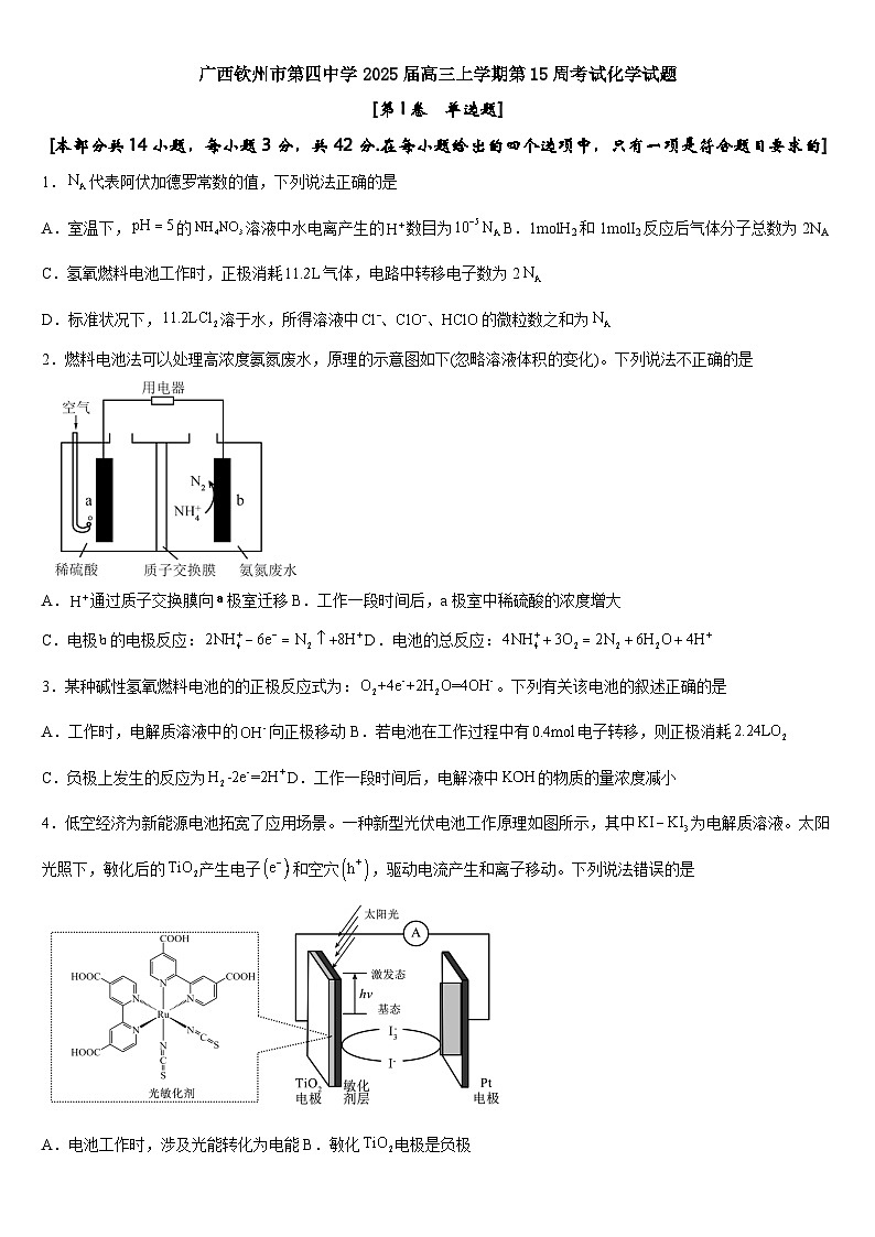 广西钦州市第四中学2025届高三上学期第15周考试化学试题第1页
