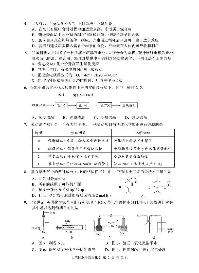 广东省大湾区2024-2025学年高三上学期1月联合模拟考试(一)化学试题第2页