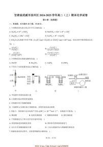 2024～2025学年甘肃省武威市凉州区高二上期末化学试卷(含答案)