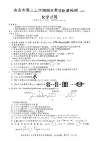 江西省吉安市2025届高三上学期1月期末教学质量检测化学试卷