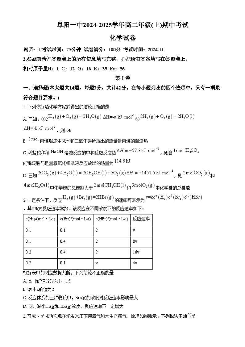 安徽省阜阳市第一中学2024-2025学年高二上学期期中考试 化学试题 Word版无答案第1页
