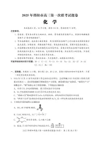 湖南省邵阳市2024-2025学年高三上学期期末考试化学试卷（PDF版附答案）