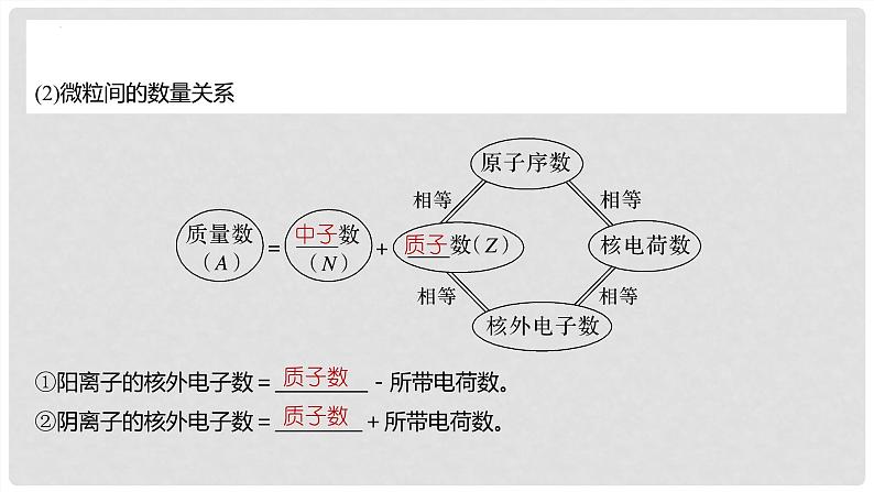 第28讲 原子结构 核外电子排布规律 2024高考化学一轮复习高频考点精讲(新教材新高考) 课件第5页