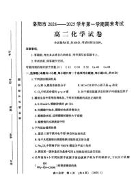 河南省洛阳市2024-2025学年高二上学期1月期末考试化学试卷