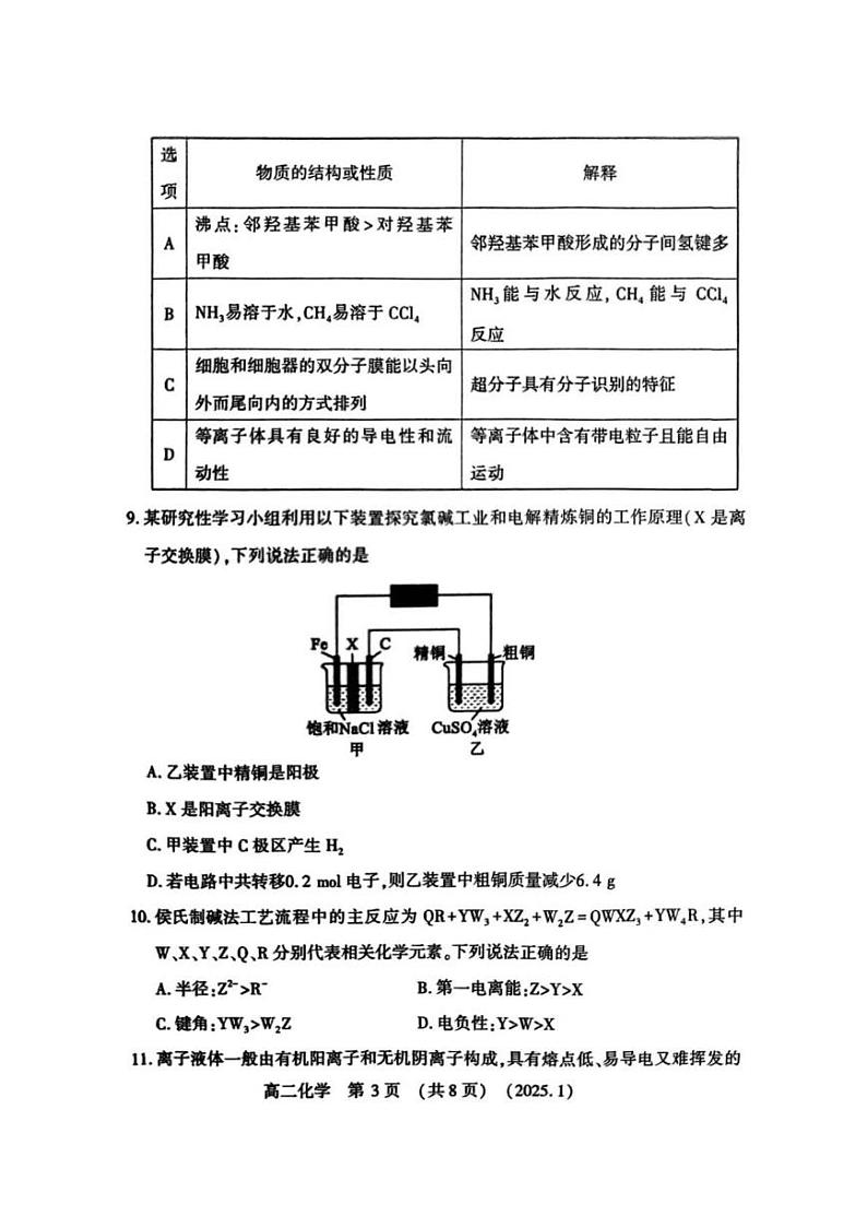 河南省洛阳市2024-2025学年高二上学期1月期末考试化学试卷第3页