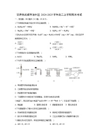 甘肃省武威市凉州区2024-2025学年高二上学期期末考试化学试卷