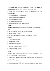 辽宁省名校联盟2024-2025学年高三上学期12月联考化学试卷（解析版）