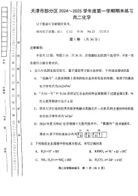天津市部分区2024-2025学年高二上学期期末试卷——化学【含答案】