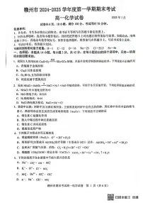 江西省赣州市2024-2025学年高一上学期1月期末考试化学试卷（PDF版附答案）