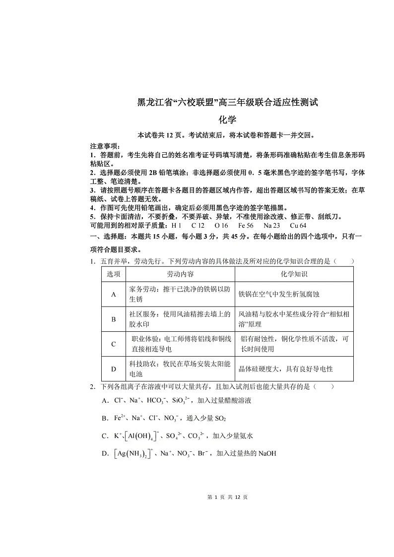 2025年黑龙江“六校联盟”高三化学联合适应性测试卷第1页
