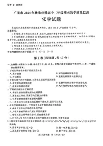四川省广元市2024-2025学年高二上学期期末质量监测 化学试题