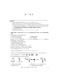 2025年2月下学期九师联盟高三开学考试-化学及答案