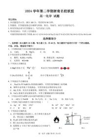 浙江省浙南名校联盟2024-2025学年高一下学期2月返校考试化学试题