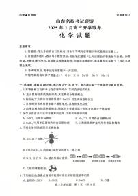 2025届山东名校考试联盟高三下学期开学考化学试题+答案