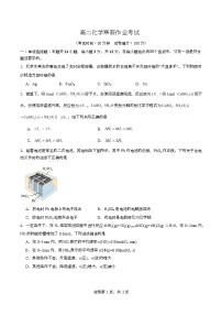 河北省衡水市安平中学2024-2025学年高二下学期开学考试化学试卷