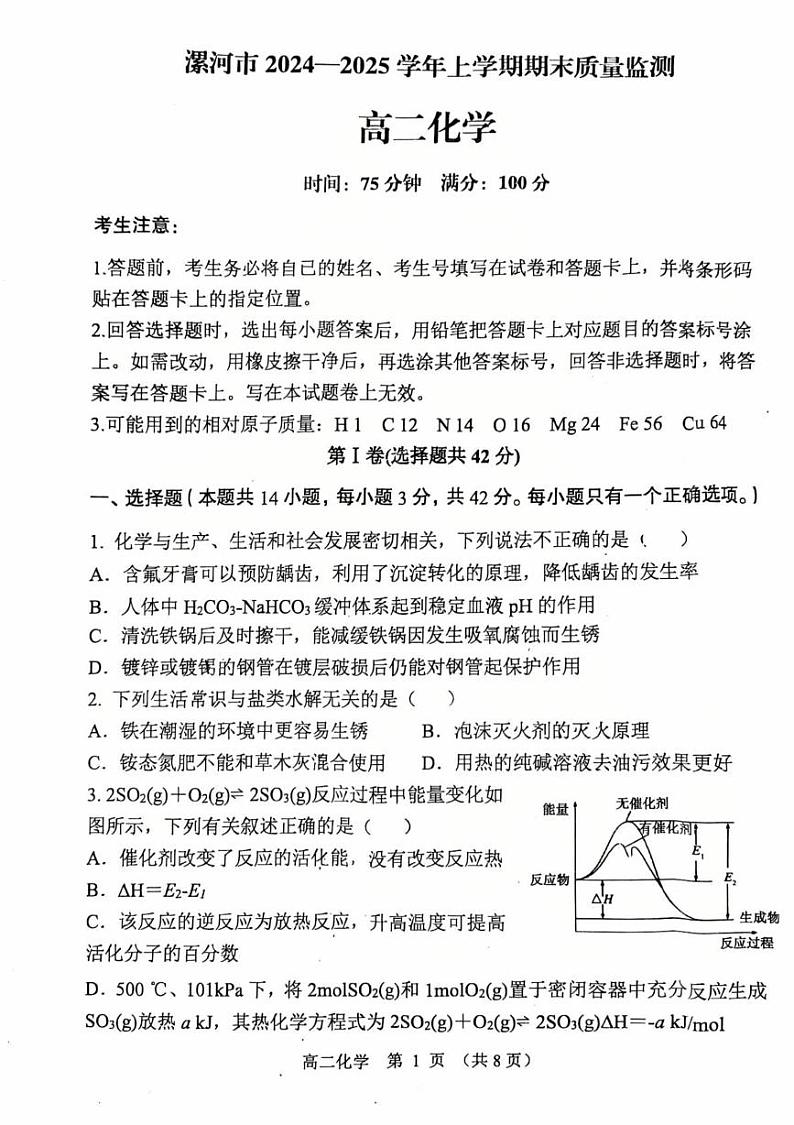 河南省漯河市2024-2025学年高二上学期期末质量监测化学试卷第1页
