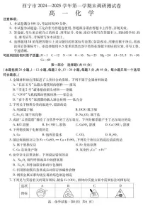 青海省西宁市2024-2025学年高一上学期期末调研测试化学试卷