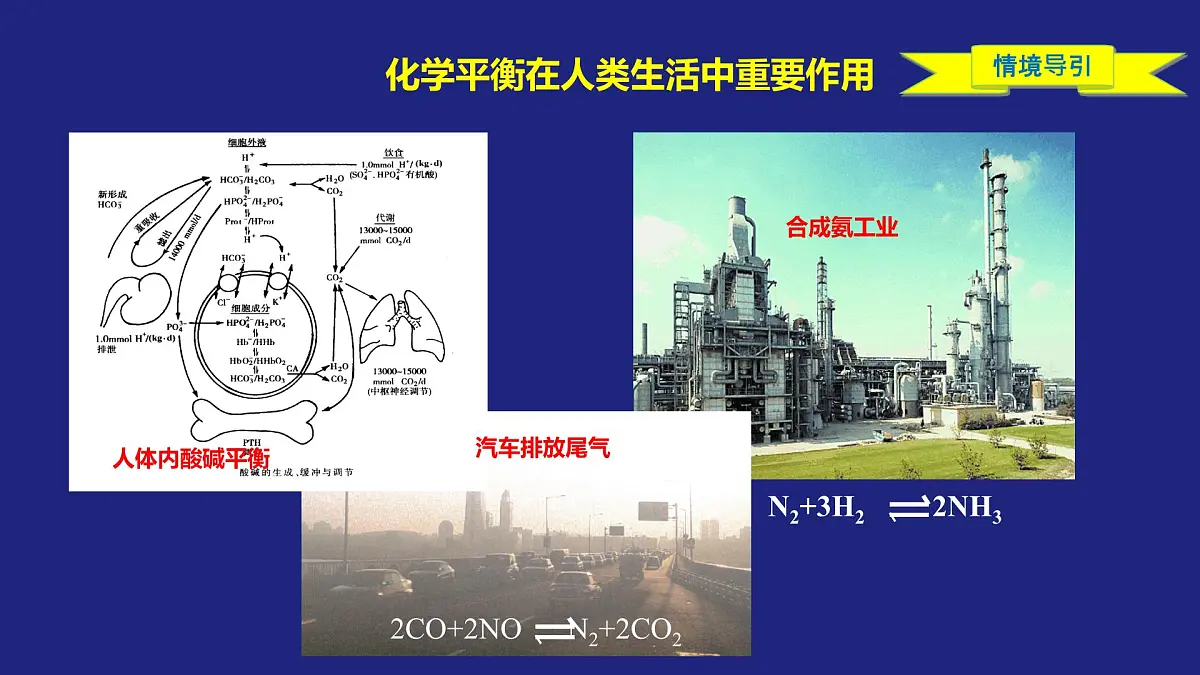 人教版高中化学选择性必修1 2-2-2 化学平衡(二) 课件第2页