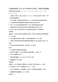 山西省运城市2024-2025学年高三上学期1月期末考试化学试题（解析版）