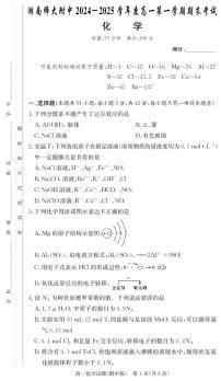 湖南师大附中2024-2025学年高一上学期期末考试化学试题（含答案）
