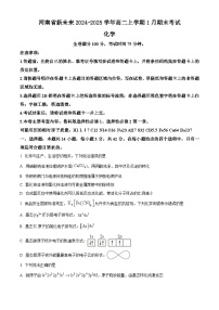 河南省新未来2024-2025学年高二上学期1月期末考试化学试题（含答案）