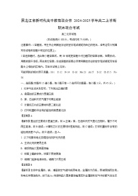 黑龙江省新时代高中教育联合体2024-2025学年高二上学期期末联合考试化学试题（解析版）