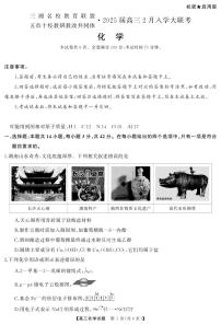 2025年三湘名校高三下学期2月开学考化学试题及答案