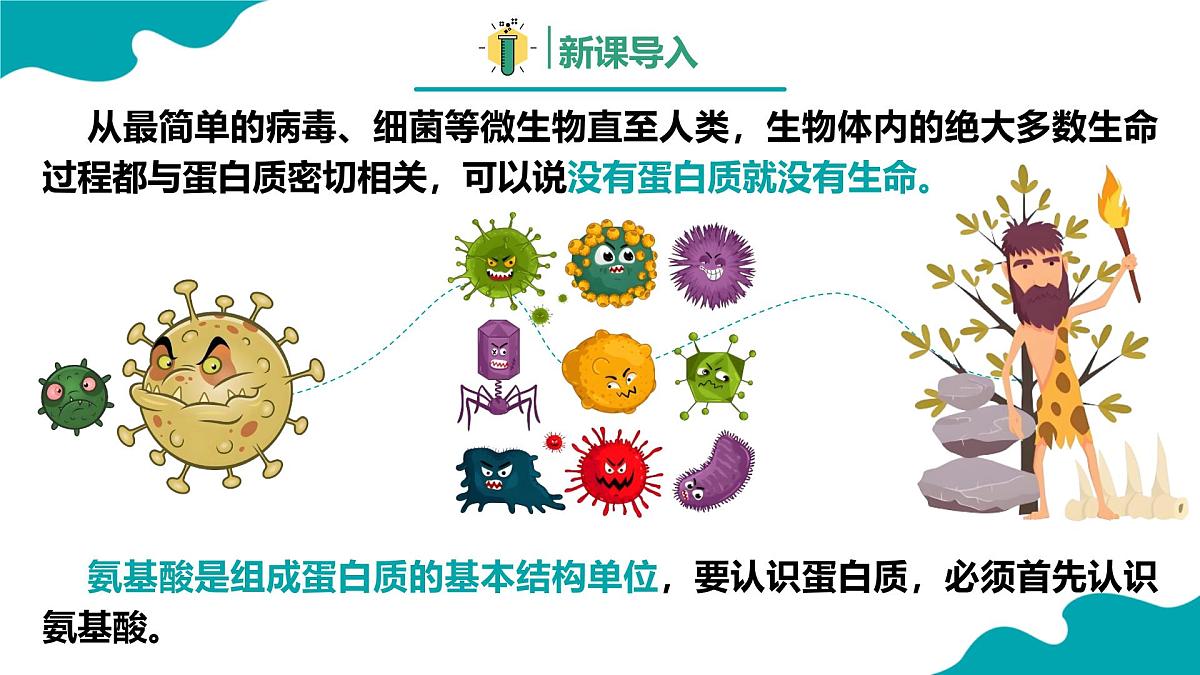 2024-2025学年高二化学(人教版2019选择性必修3)第四章第二节蛋白质课件第3页