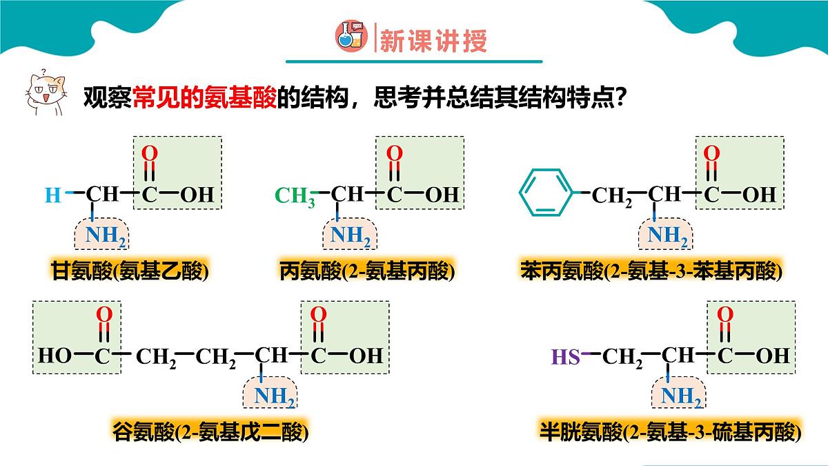 2024-2025学年高二化学(人教版2019选择性必修3)第四章第二节蛋白质课件第6页