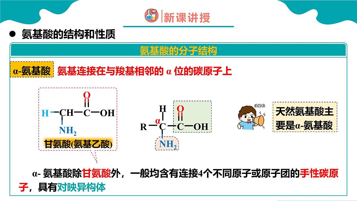 2024-2025学年高二化学(人教版2019选择性必修3)第四章第二节蛋白质课件第8页