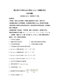 重庆市育才中学2024-2025学年高三上学期1月月考化学试题（Word版附解析）