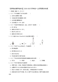 甘肃省武威市凉州区2024-2025学年高一(上)期末考试化学试卷（解析版）