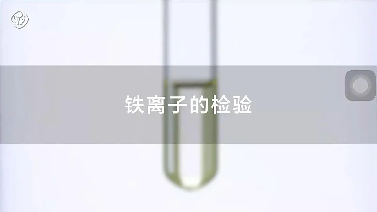 2024-2025学年高一化学(人教版2019必修一)3-1-3铁及其化合物(3)课件第7页