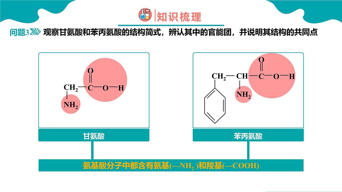 2024-2025学年高一化学(人教版2019必修二)7-4-2基本营养物质(2)课件第7页